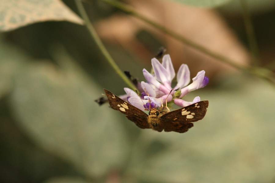 a0094850_13262040.jpg
