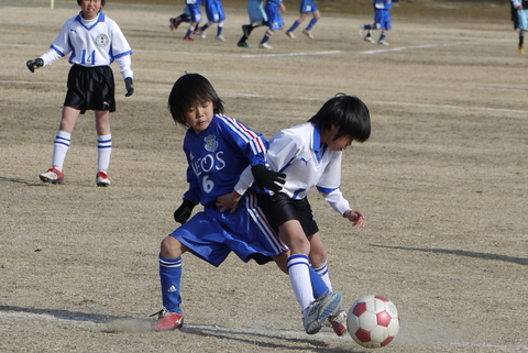 c0185364_2035166.jpg
