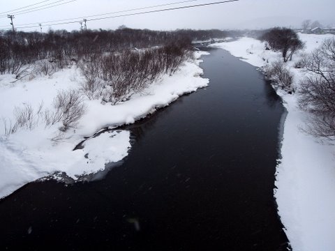 b0130166_22335315.jpg