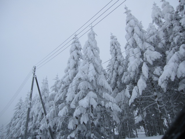 b0134278_19182774.jpg