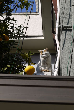 f0222692_13314064.jpg