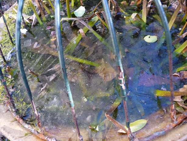 c0108693_22174969.jpg