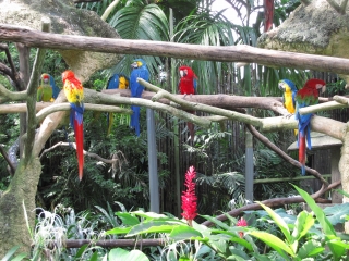 a0042295_1714348.jpg