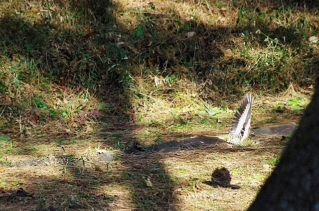 c0125596_22313160.jpg
