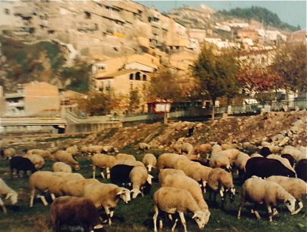 a0199297_074370.jpg