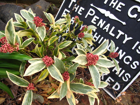 f0178897_1842134.jpg