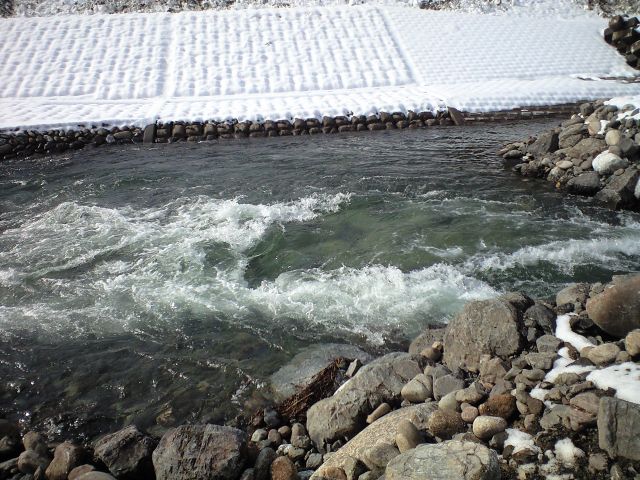 a0121502_8353773.jpg