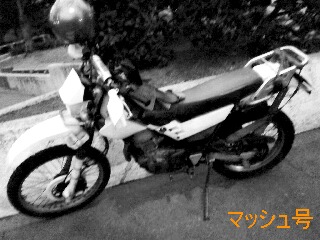 a0168007_0124743.jpg
