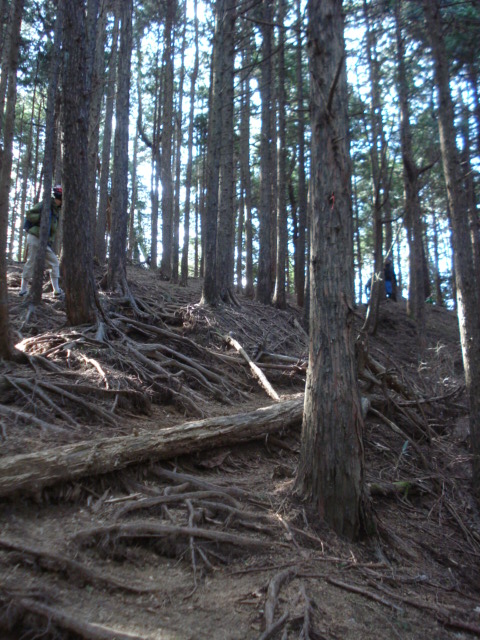 e0015108_7325549.jpg