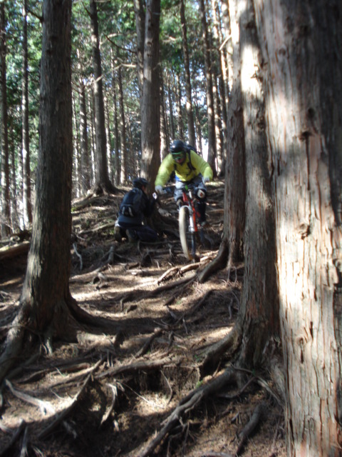 e0015108_7354613.jpg