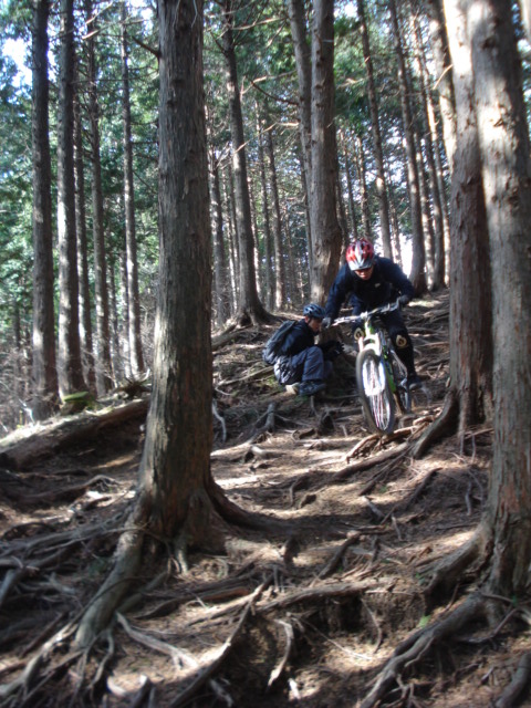 e0015108_7365100.jpg