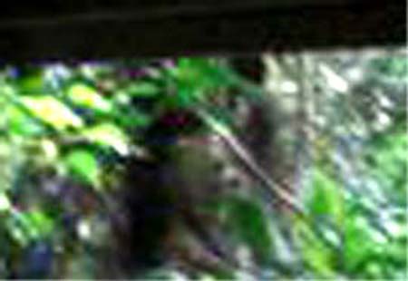 e0103408_17193559.jpg