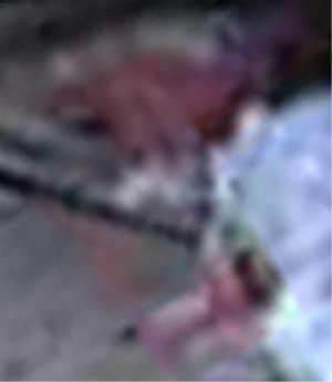 e0103408_17314814.jpg