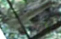 e0103408_1731678.jpg