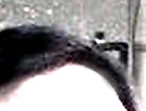 e0103408_2018286.jpg