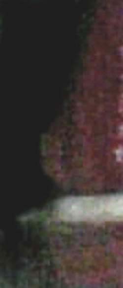 e0103408_20212513.jpg