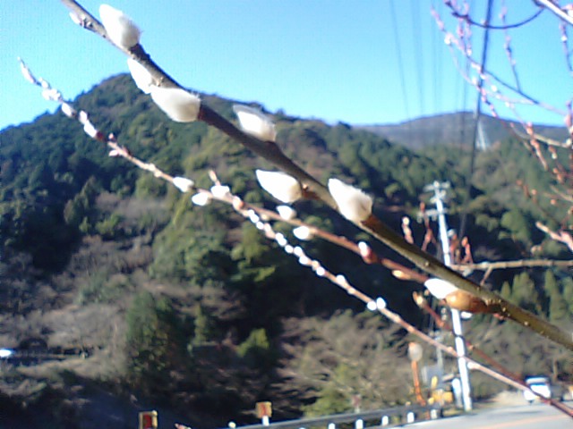 f0231709_19583670.jpg