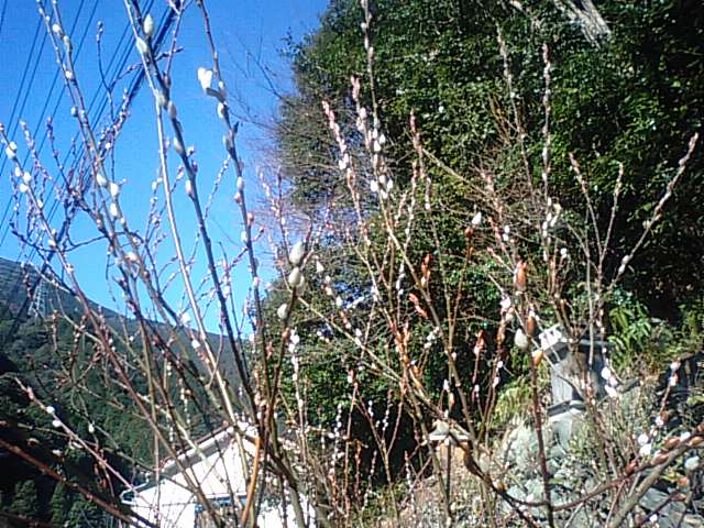 f0231709_20193594.jpg