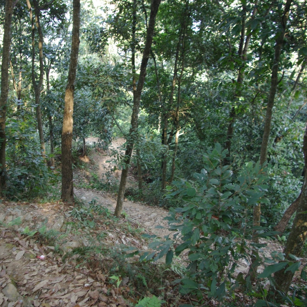 e0142611_1414285.jpg