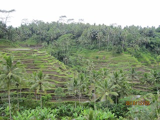 a0140814_20254293.jpg