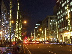 a0157619_2382049.jpg