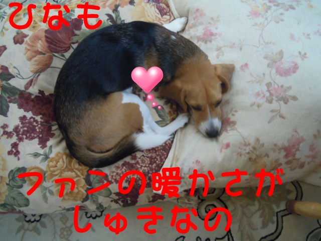 c0166622_1040187.jpg