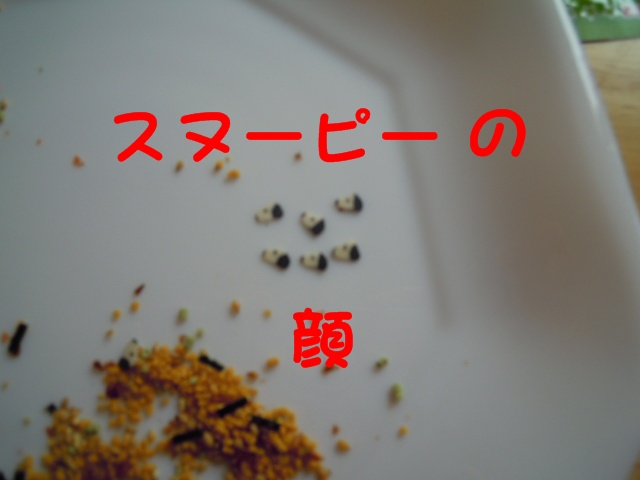 c0166622_10411341.jpg