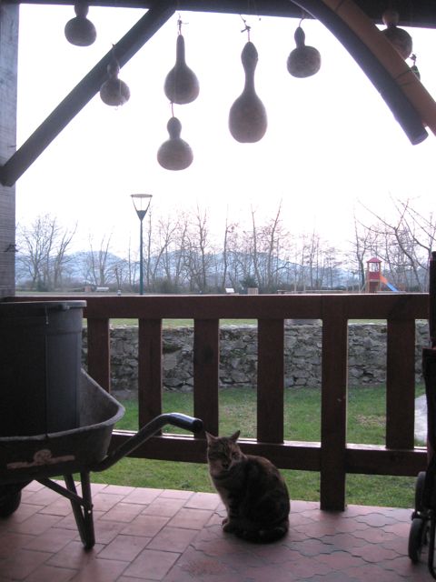c0188527_553016.jpg