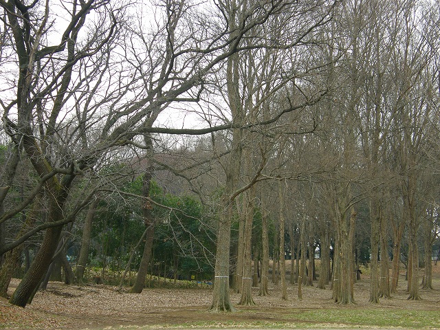 b0162728_20461358.jpg
