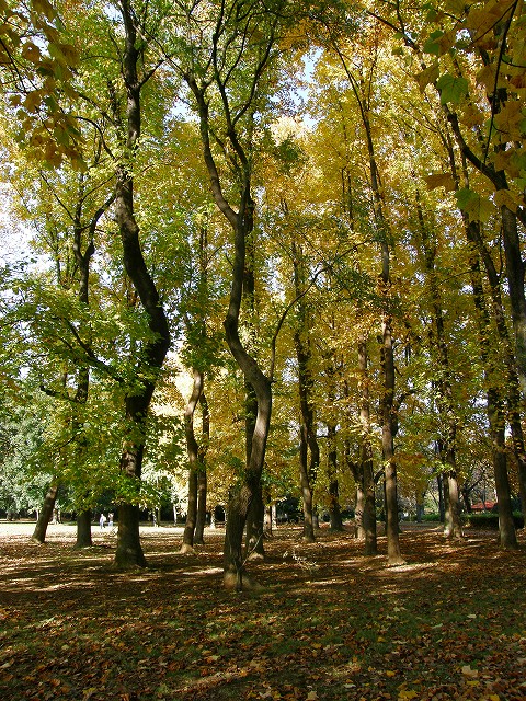 b0162728_2046573.jpg