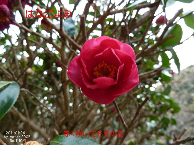e0033229_2254433.jpg