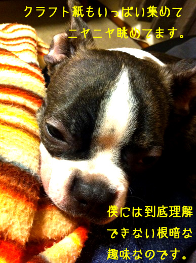 a0190132_22521350.jpg