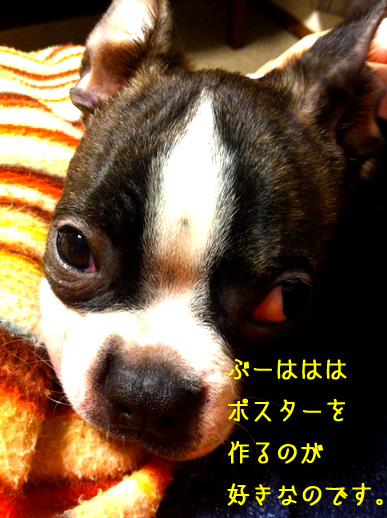 a0190132_2252580.jpg