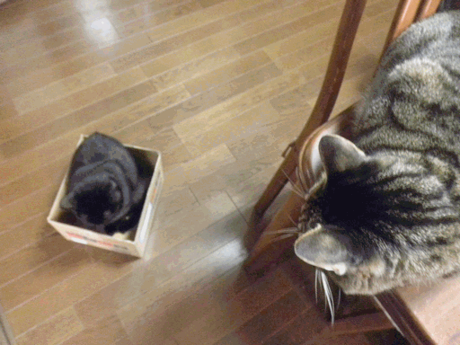 c0136736_22524526.gif