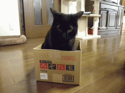 c0136736_2254315.gif