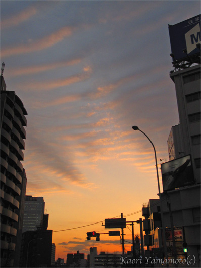 a0095337_23384770.jpg