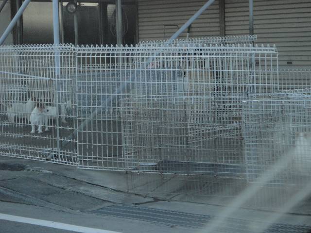 f0208737_8462371.jpg