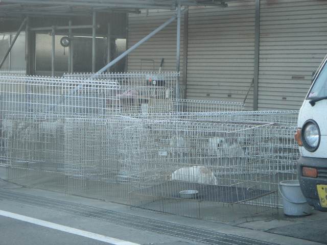f0208737_8471017.jpg