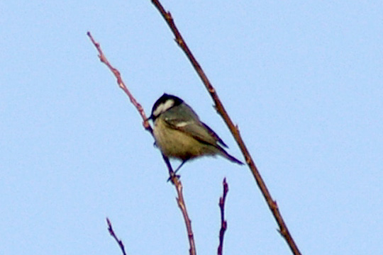 b0043440_19152219.jpg