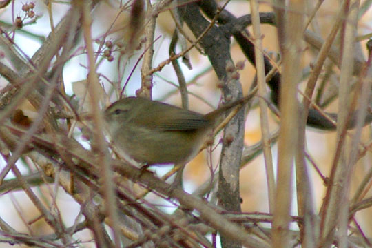 b0043440_19241149.jpg
