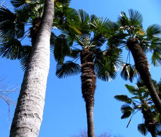 c0204740_1905670.jpg