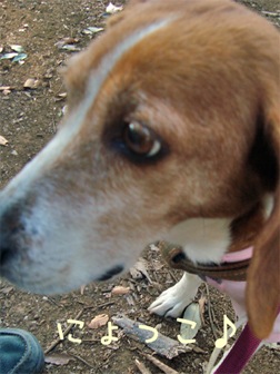 c0086746_18103774.jpg