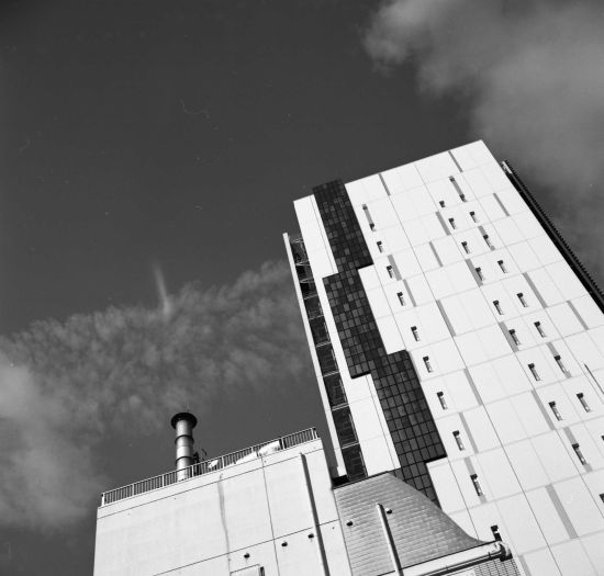 b0170947_22353037.jpg