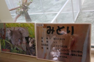 b0200747_12495738.jpg