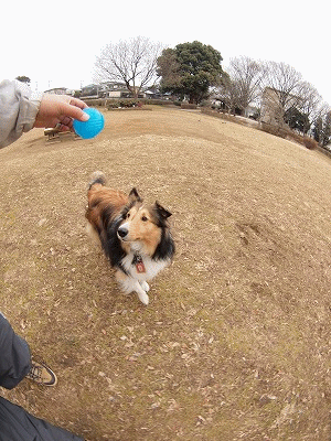 b0180764_20124147.gif