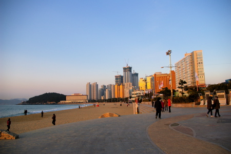 a0109466_20593047.jpg