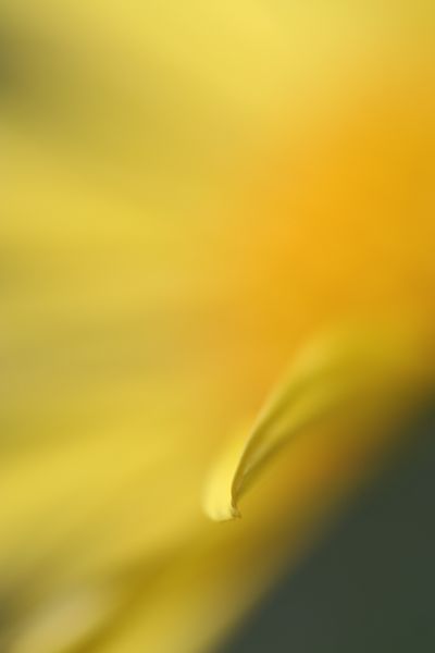 d0139967_1510456.jpg