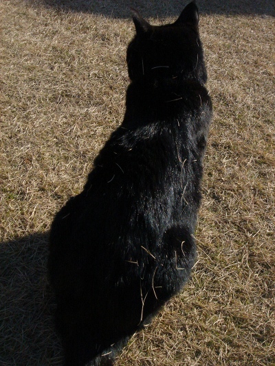 f0099367_1047018.jpg