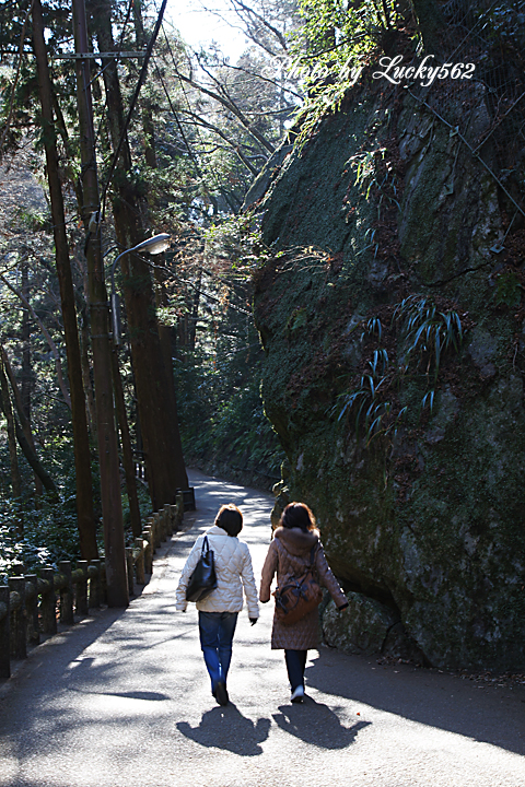 e0002371_12221869.jpg