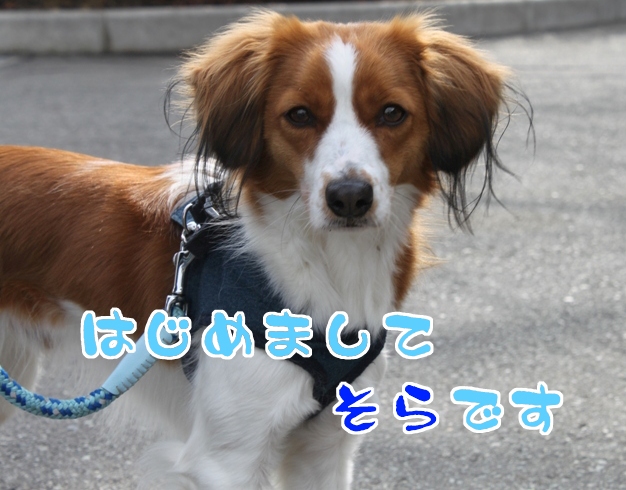 a0076980_1851331.jpg